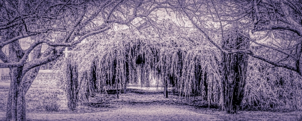 The Winter Tunnel Print