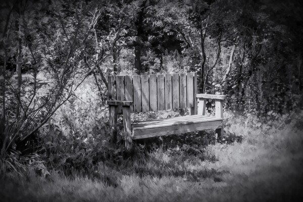 Tranquil Thinking Spot Print