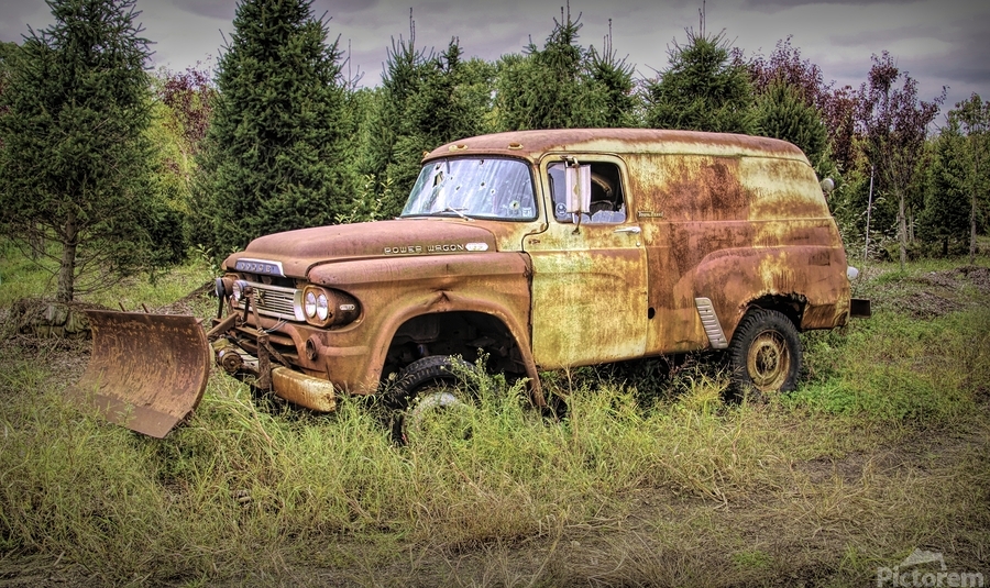 I Am Not Going Anywhere  Print