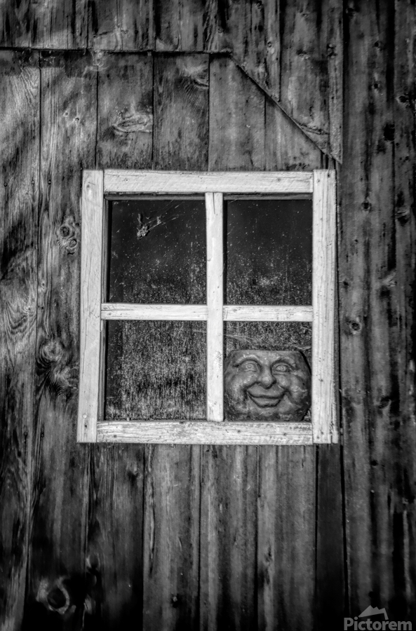 Creepy Face In The Window  Print