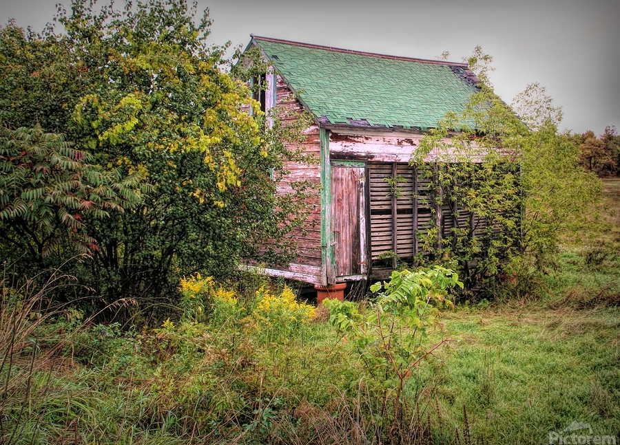 Forgotten Shed   Print