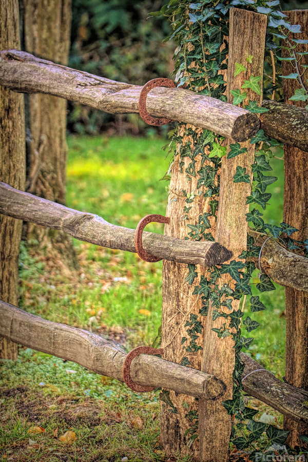 Horseshoe Fence  Print