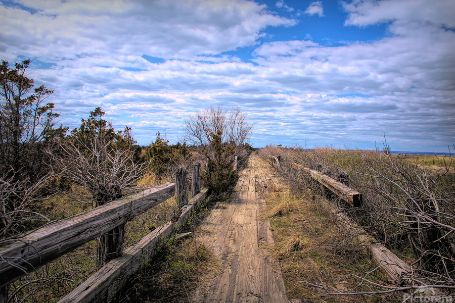 Path Along The Sound  Print