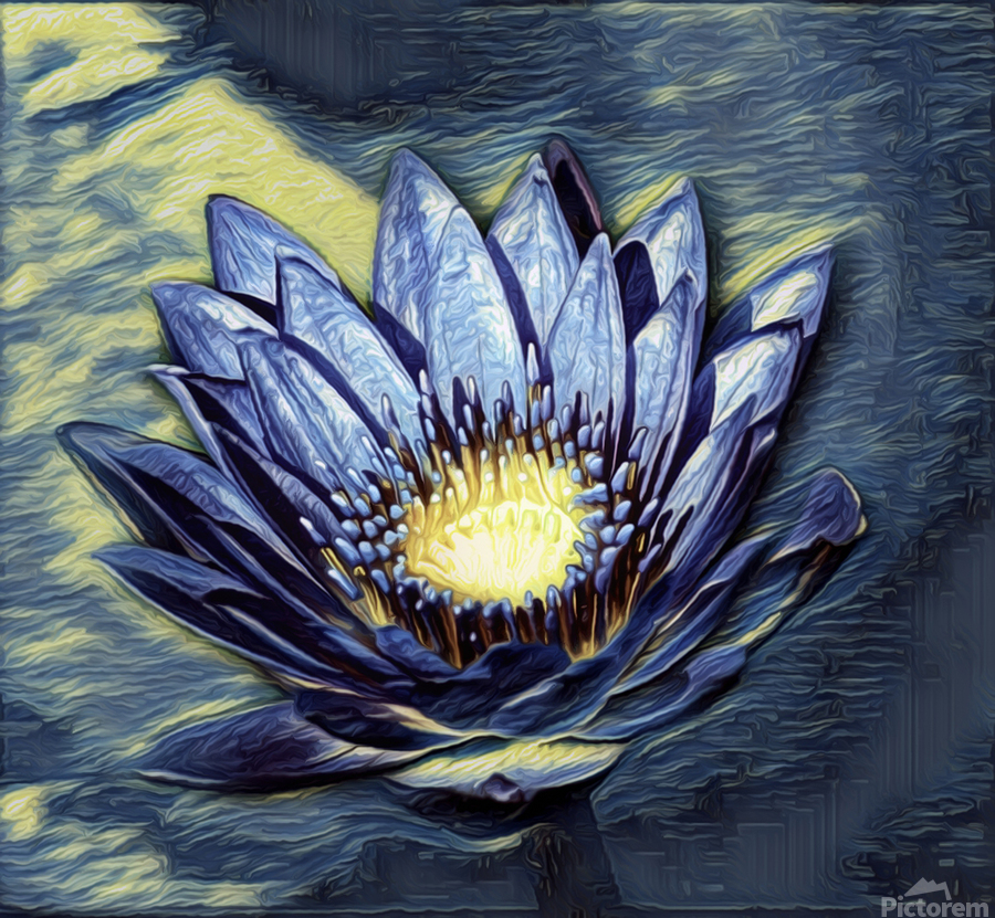 Blue Abstract Waterlily   Print
