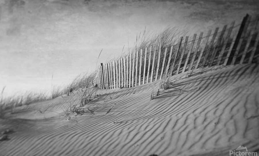 The Dunes In Black and White  Print