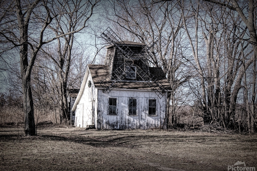 Baiting Hollow Windmill   Print