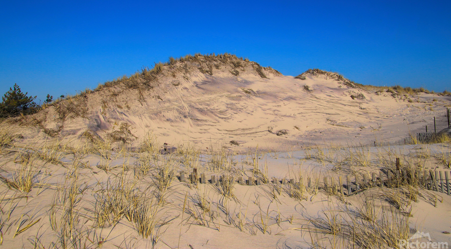 Dunes Reaching For The Sky  Print