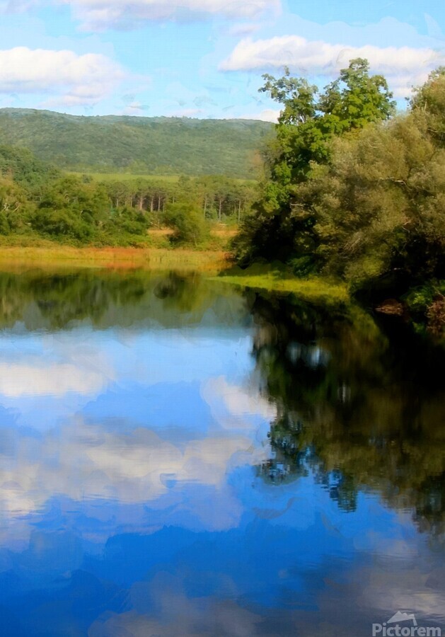 East Branch Of Delaware River  Print