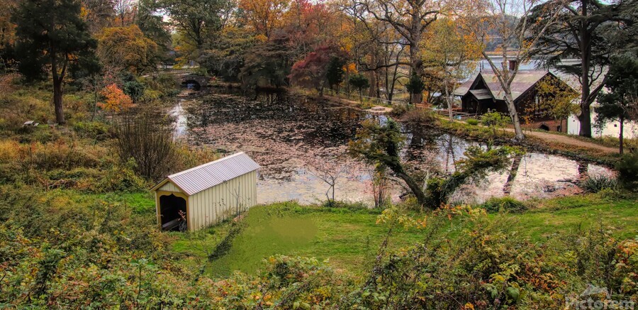 Overlooking Cedarmere Pond  Print