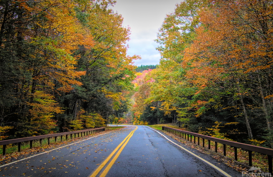 Road Along The Neversink Reservoir  Print