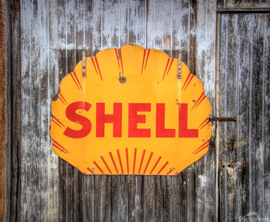Shell On A Shed  Print