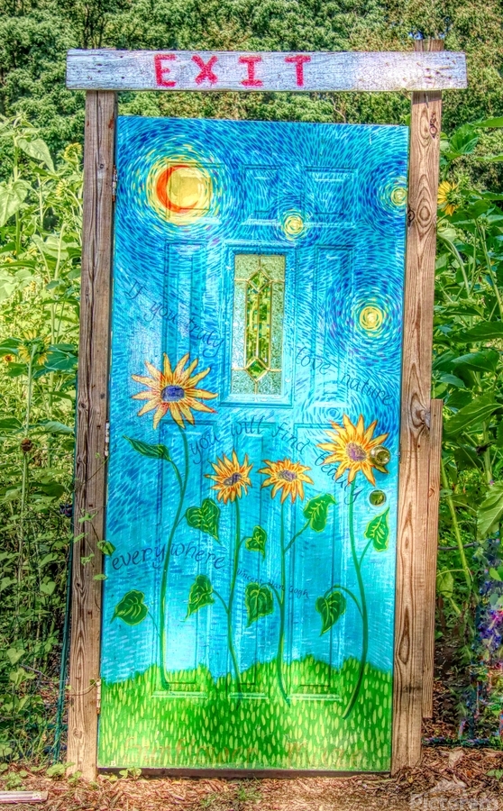 The Perfect Door  Print