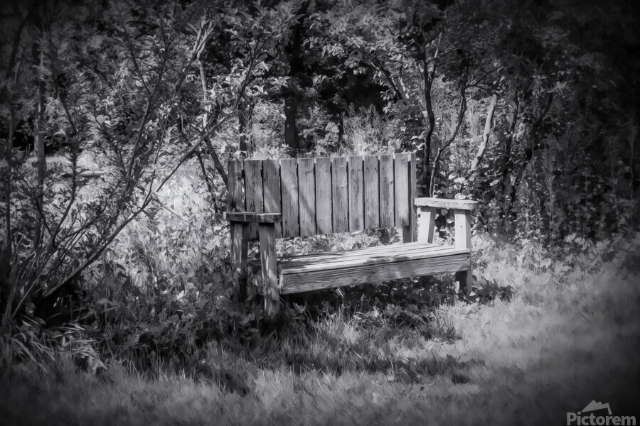 Tranquil Thinking Spot  Print