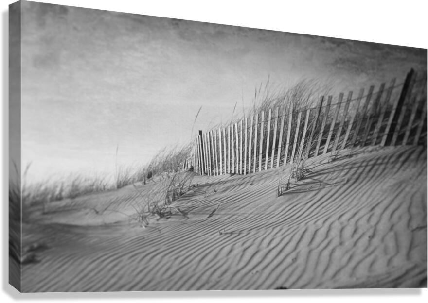 The Dunes In Black and White Canvas Print
