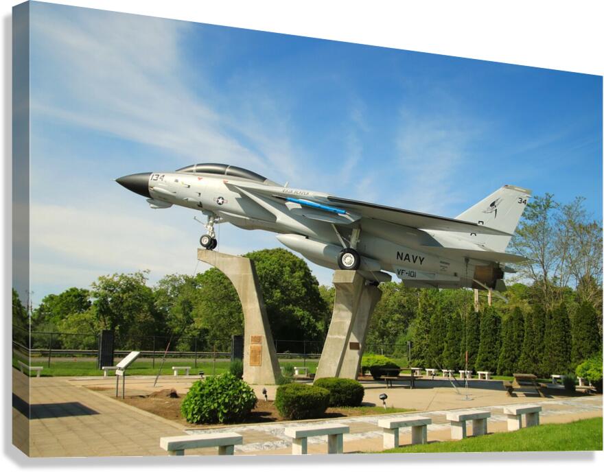 F-14 Tomcat Canvas Print