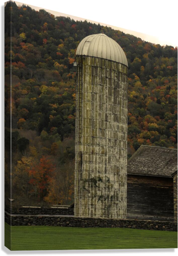 Silo With Autumn Foliage Canvas Print