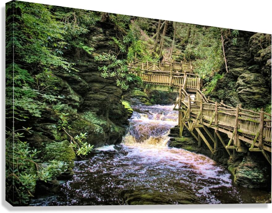 Upper Gorge At Bushkill Falls Canvas Print