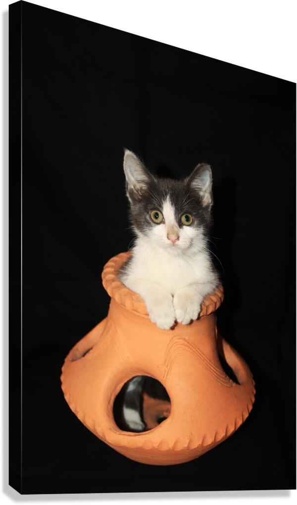 Lady Oscar Canvas Print