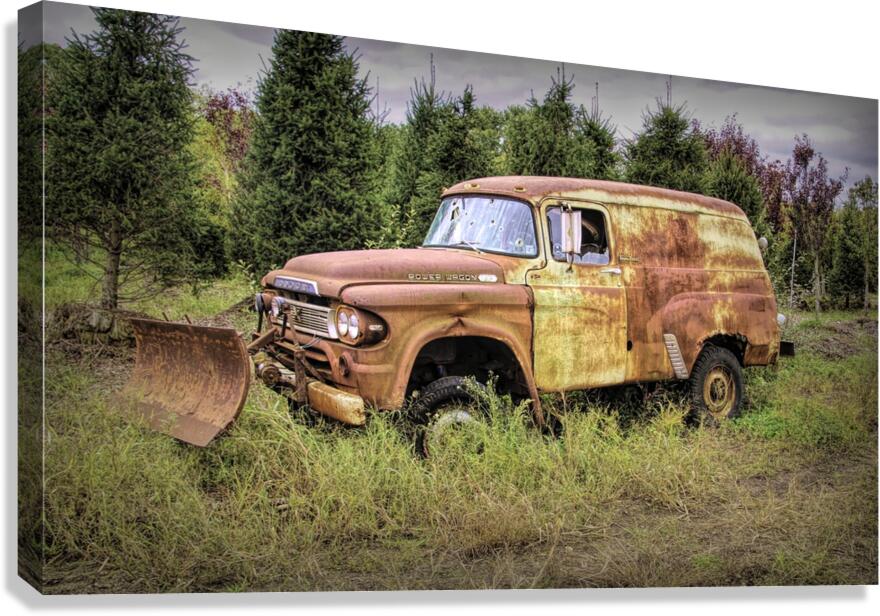 I Am Not Going Anywhere Canvas Print