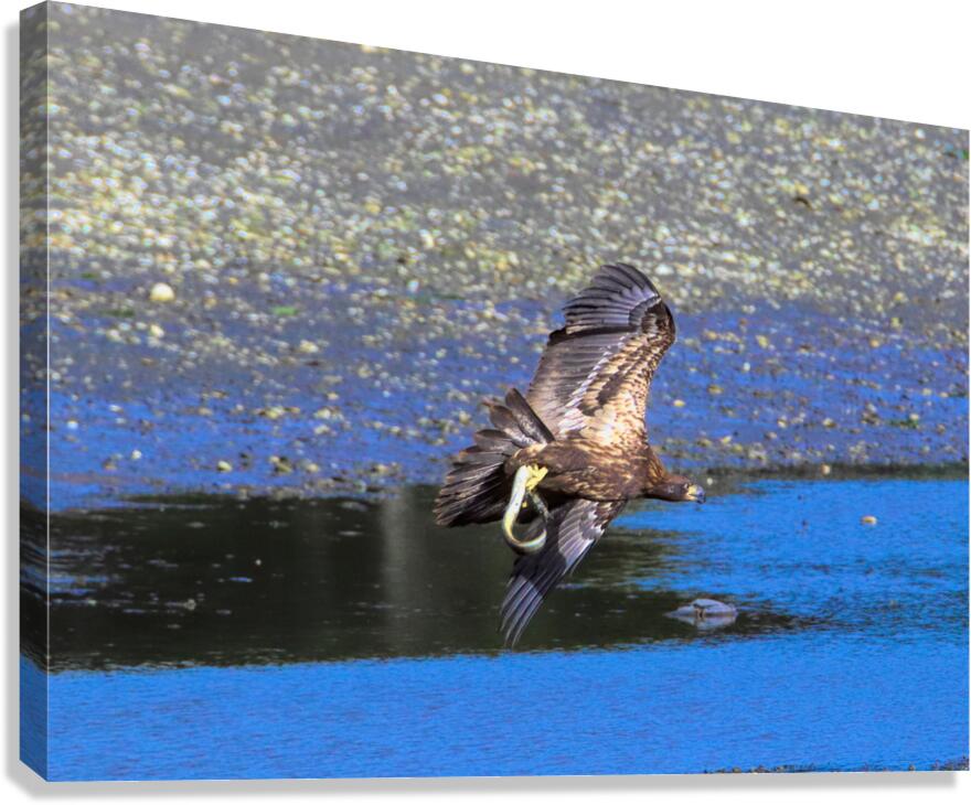 Baby s First Catch Canvas Print