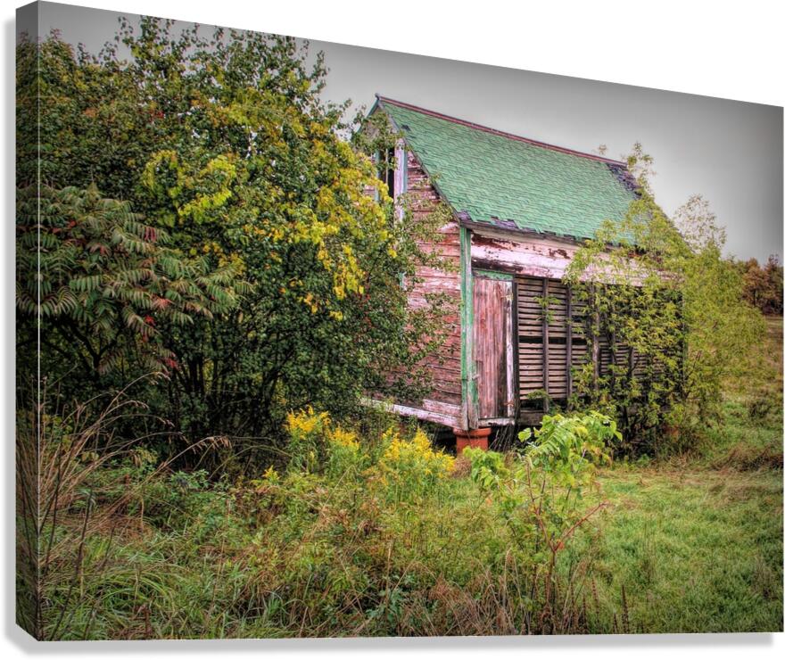Forgotten Shed  Canvas Print