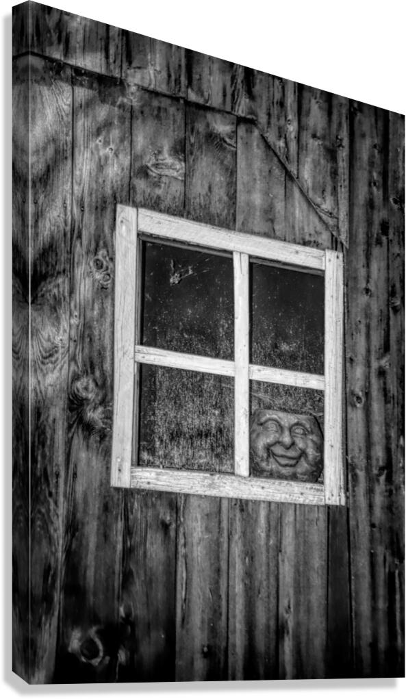 Creepy Face In The Window Canvas Print