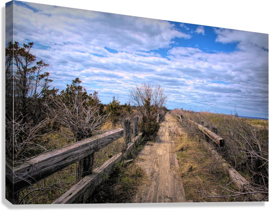 Path Along The Sound Canvas Print