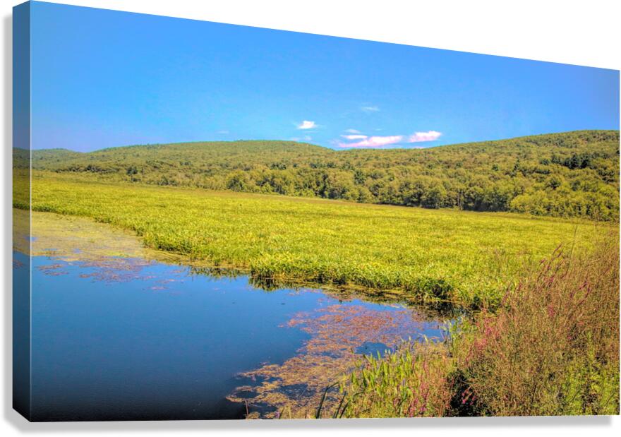 Basha Kill Canvas Print