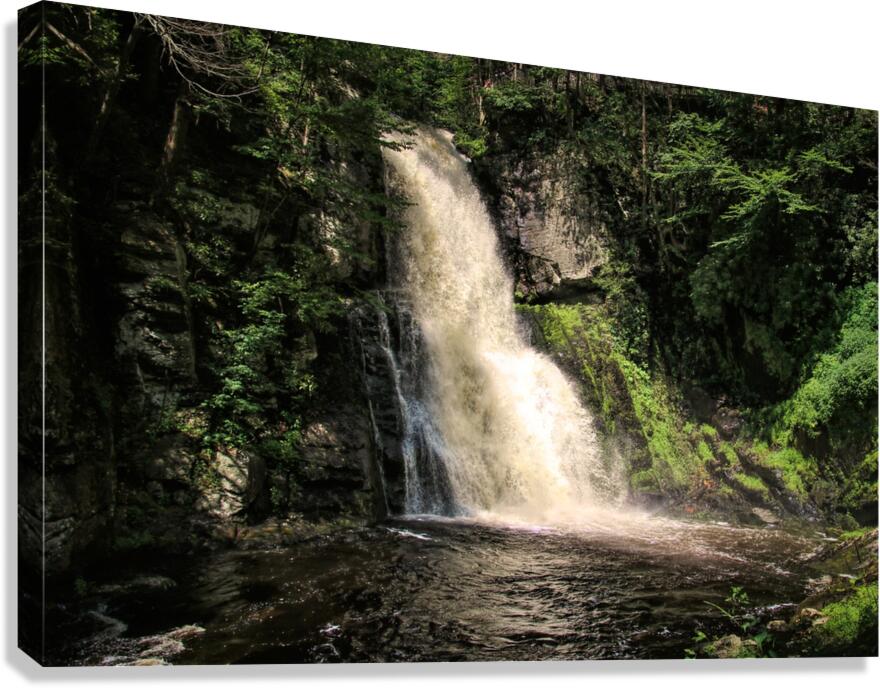 Bushkill Falls  Canvas Print