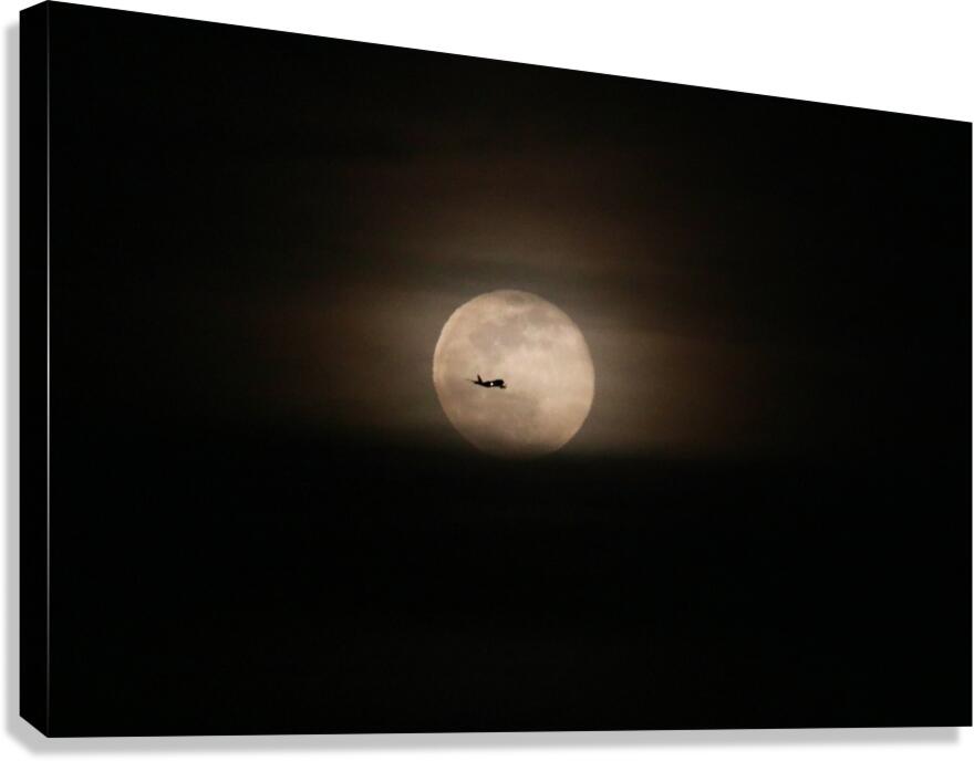 Fly Me To The Moon Canvas Print