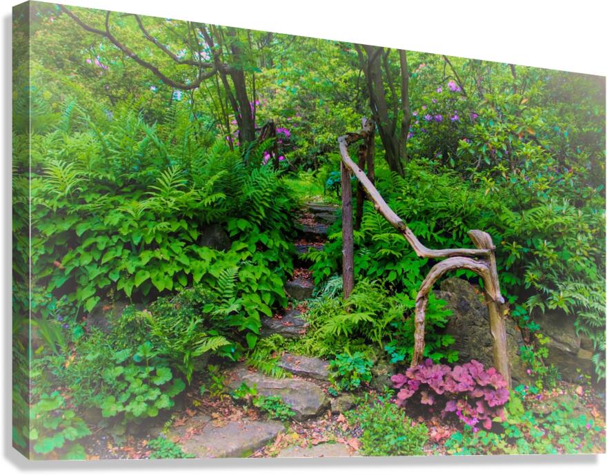 Dream Steps Canvas Print