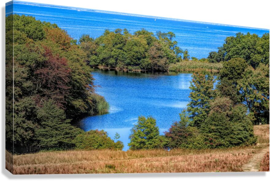 Fresh Pond at Caumsett Canvas Print