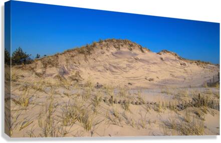 Dunes Reaching For The Sky Canvas Print