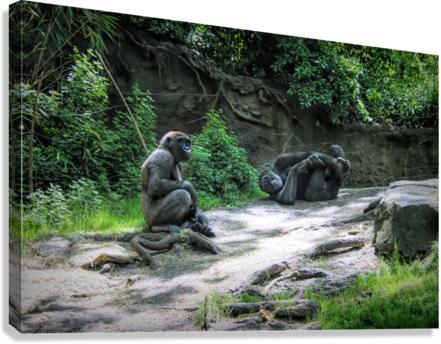 Monkeying Around Canvas Print