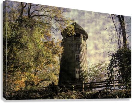 Rapunzels Summer Home Canvas Print