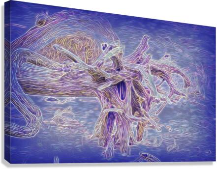 The Weather Creature Canvas Print