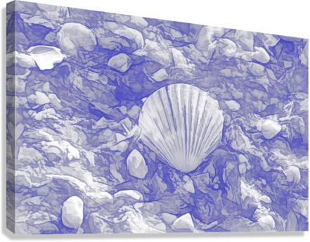 Scallop Shell On Blue and White Canvas Print