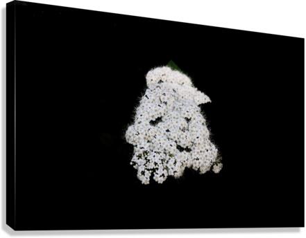 The Happy Flower Canvas Print