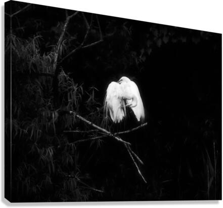 Sharing A Branch Canvas Print