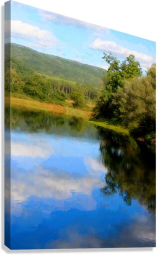 East Branch Of Delaware River Canvas Print