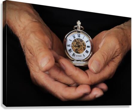 These Hands Canvas Print