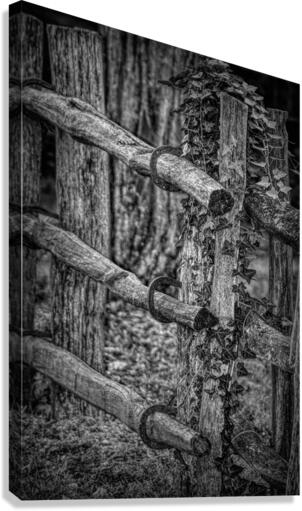 Horseshoe Fence In Black and White Canvas Print