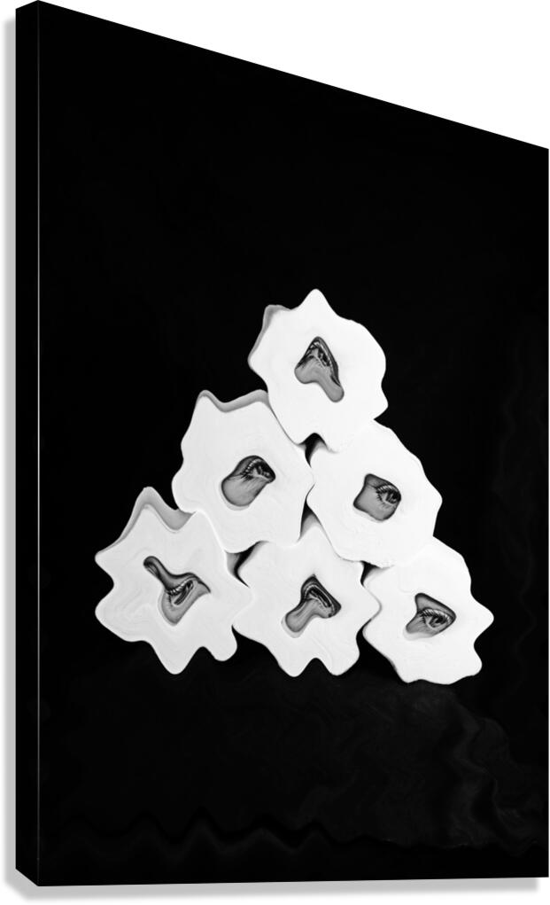 Toilet Paper Thief Canvas Print