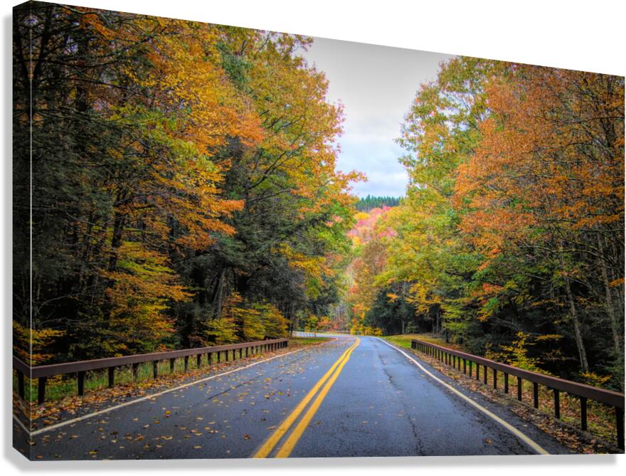 Road Along The Neversink Reservoir Canvas Print