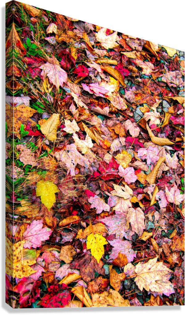 Leaves On The Neversink  Canvas Print