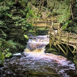 Upper Gorge At Bushkill Falls