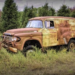 I Am Not Going Anywhere