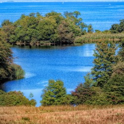 Fresh Pond at Caumsett