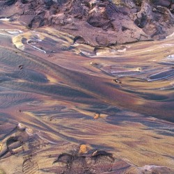 Winter Sand Abstract