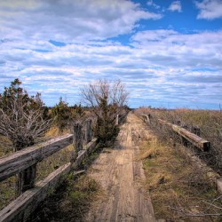 Path Along The Sound